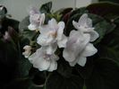 DSCN3462