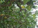 DSC04865