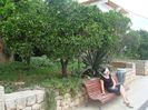 DSC04874