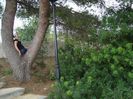 DSC04908