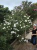 DSC04920