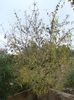 DSC04927