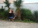 DSC04984