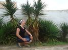 DSC04987