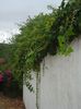 DSC05006