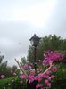 DSC05024