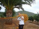 DSC05094