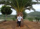 DSC05106