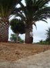 DSC05109