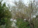DSC05126