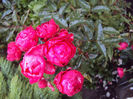 DSC00204