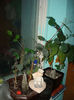 DSC01409