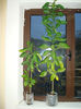 DSC01411