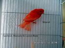 SAM_2546