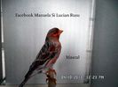 SAM_2583