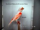 SAM_2601