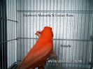 SAM_2608