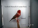 SAM_2638