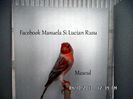 SAM_2646