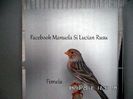 SAM_2687