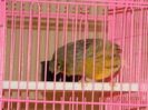 DSCN4011
