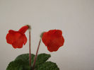 DSCF2088