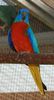 Mathias_Helle_yJKQ4crciEqlrqxTL8zlQdOC