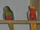 cimg0061