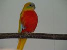 dsc02484