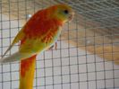 dsc03191