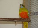 dsc03886