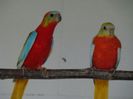 dsc03917
