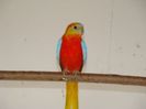 dsc04264