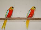 dsc04266