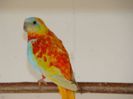 dsc04276