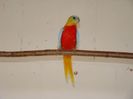 dsc04280