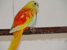 dsc04377