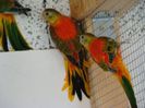 dsc04507