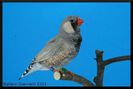 img7876buona