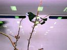 vs2007_045A