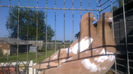 2013-07-16-138