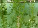 DSCN3531