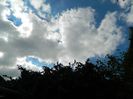 DSCN3587