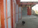 DSC03638
