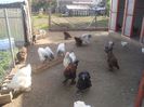 DSC03634