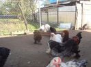 DSC03639