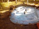 IMG_20131006_162558