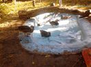 IMG_20131006_162607