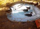 IMG_20131006_162620