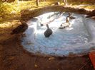 IMG_20131006_162634